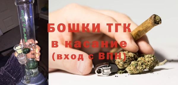 шишки Абинск