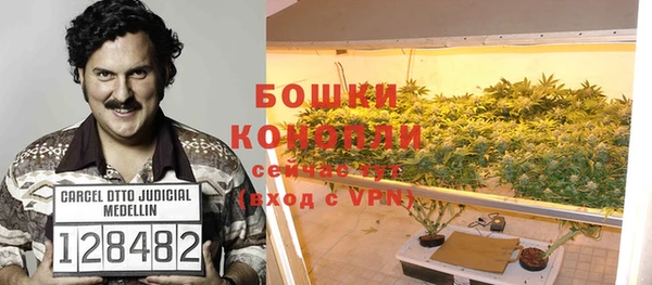 шишки Абинск