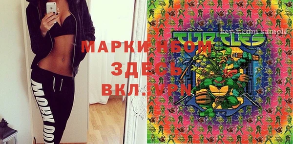 шишки Абинск